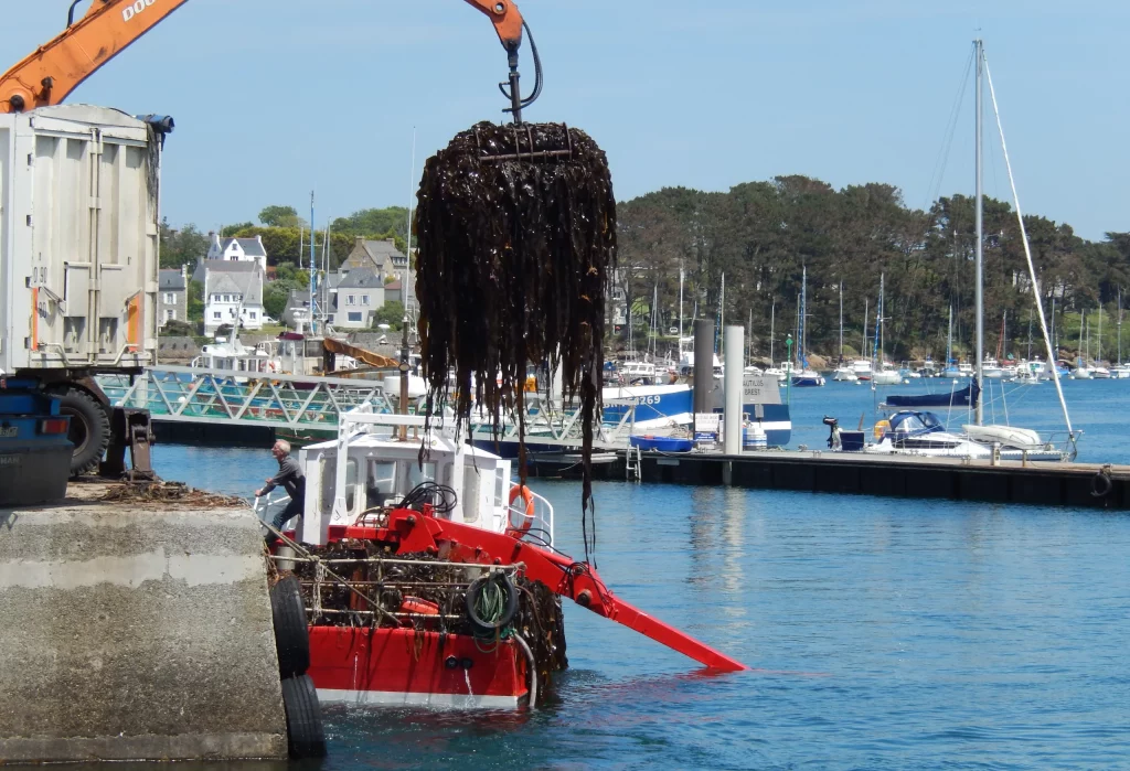 Port Lanildut Aber Ildut