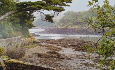 Exposition "Déclic photos" - Les coups de cœur des visiteurs