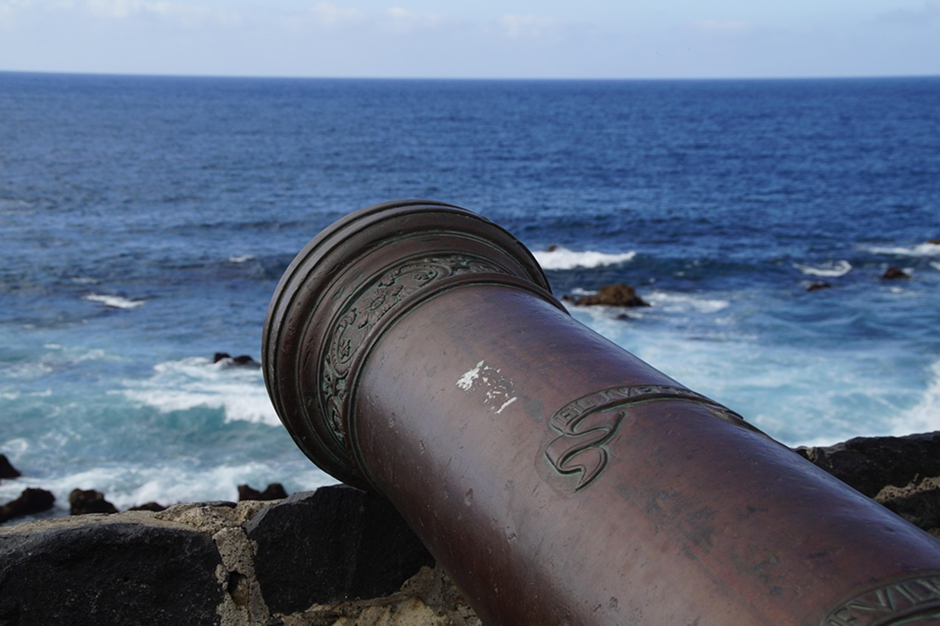 La défense des côtes