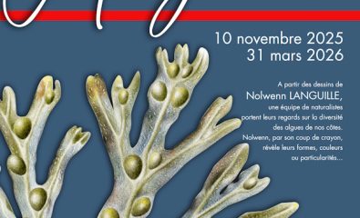 Exposition « Regards sur les algues »